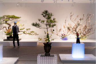 Expo 2025 Osaka, Kansai:<br>Ikenobo Ikebana Exhibition – TRANSITION –